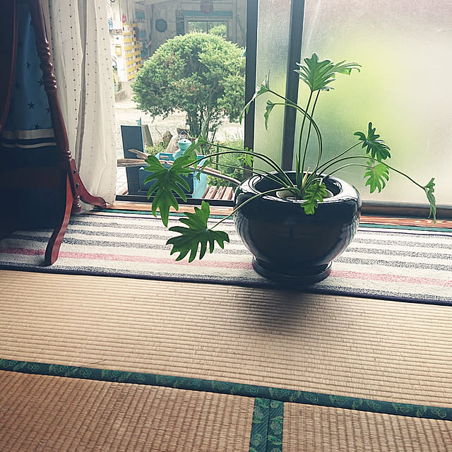koppeさんの実例写真