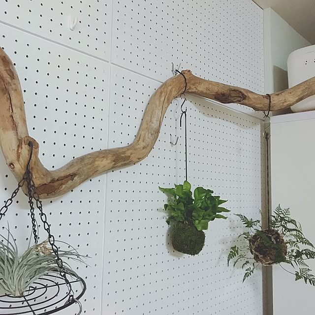 kanonoさんの実例写真