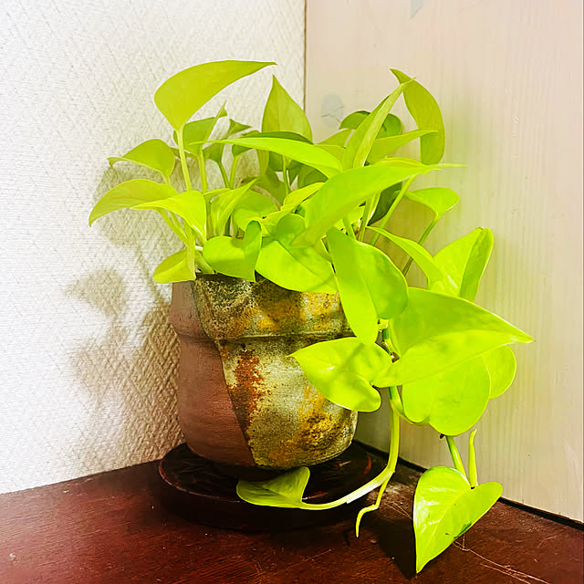 fuyiqian1026さんの実例写真