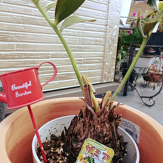 yukixx328さんの実例写真