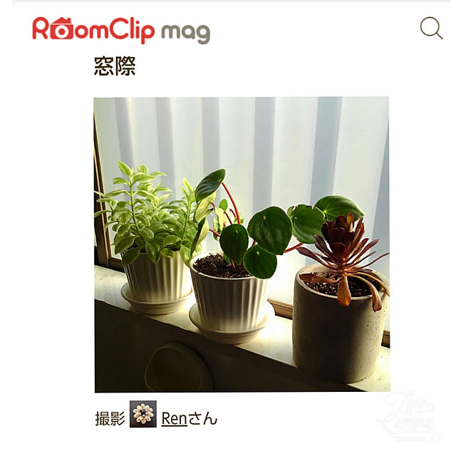 Renさんの実例写真