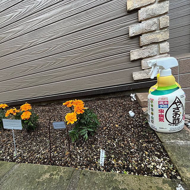 mogumoguさんの実例写真