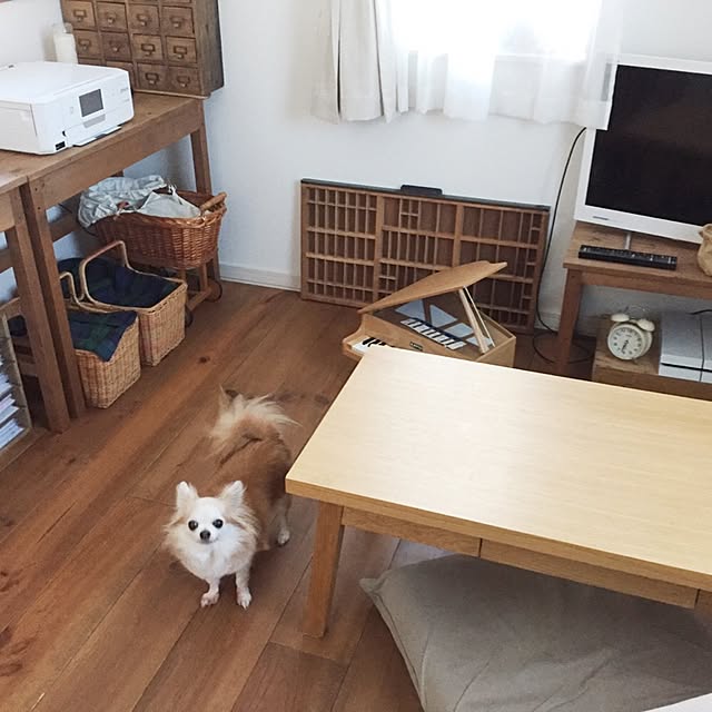 acoさんの実例写真