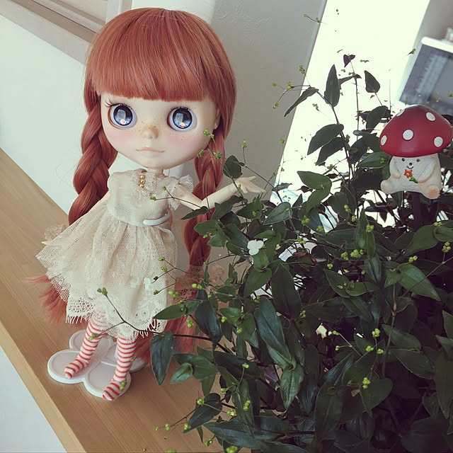 Mikipochiさんの実例写真
