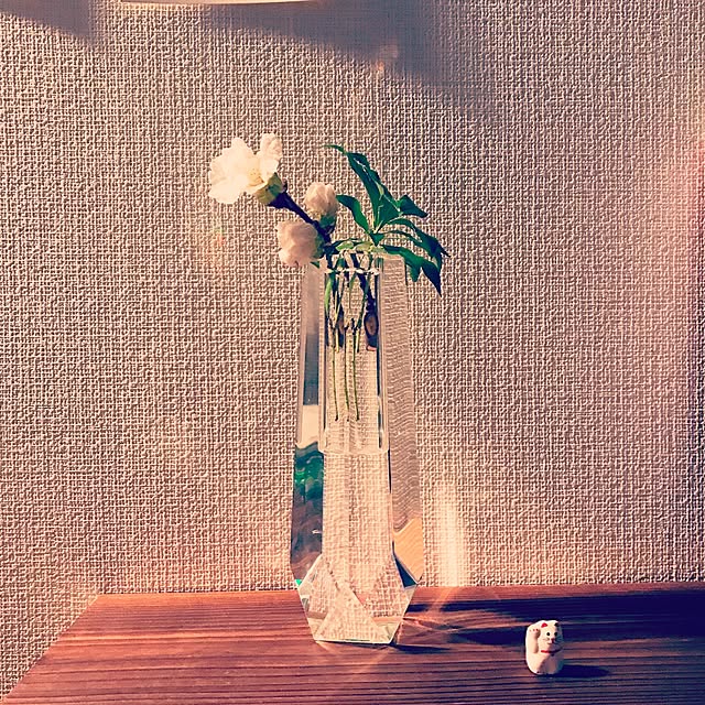 Fumikaさんの実例写真