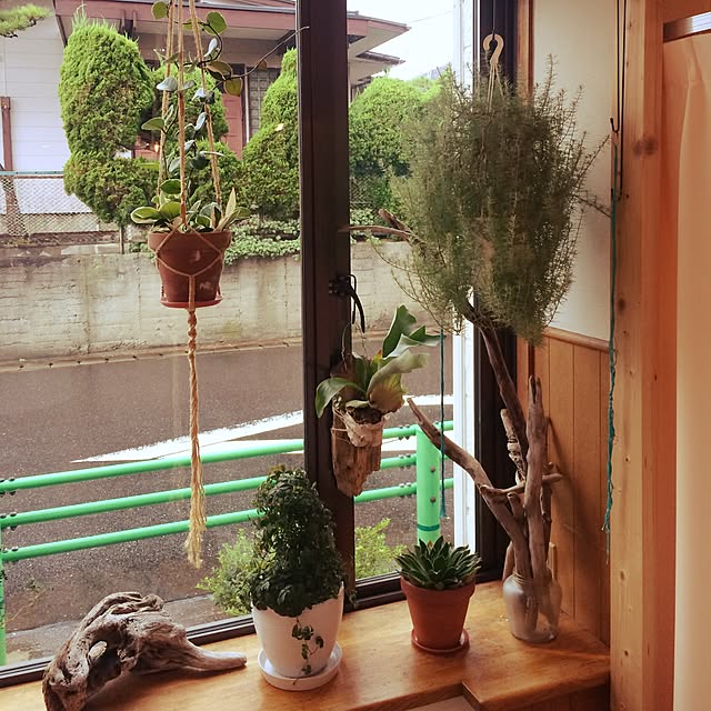 uresikaさんの実例写真