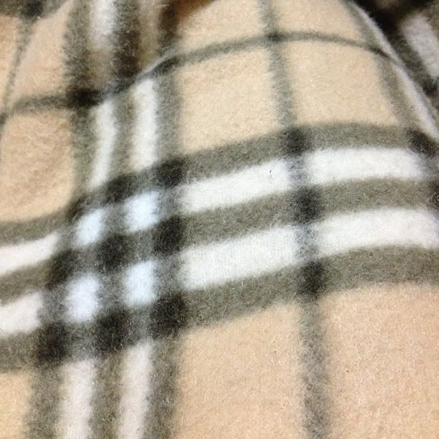 honobonoさんの実例写真