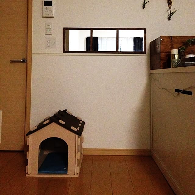 A-m16さんの実例写真