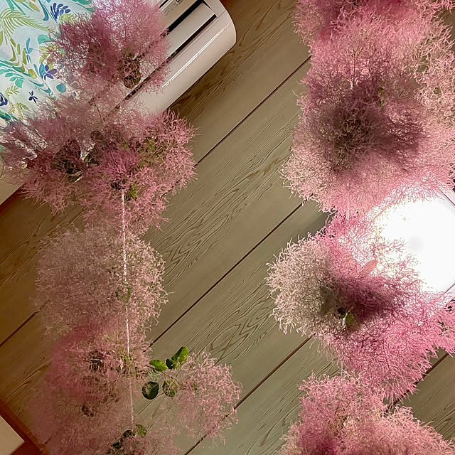 asako.10さんの部屋