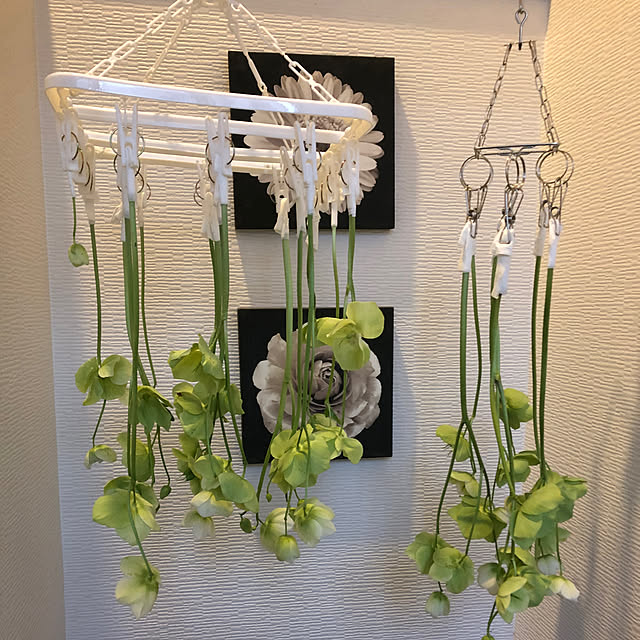 TOMATOさんの部屋