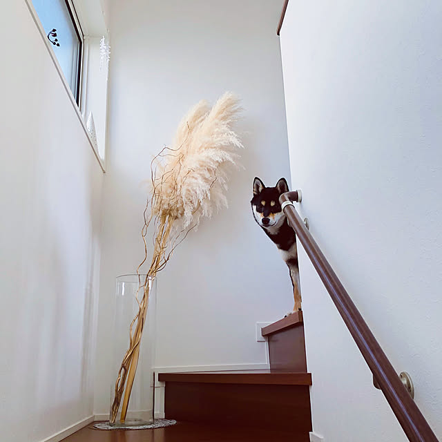 nuruiさんの実例写真