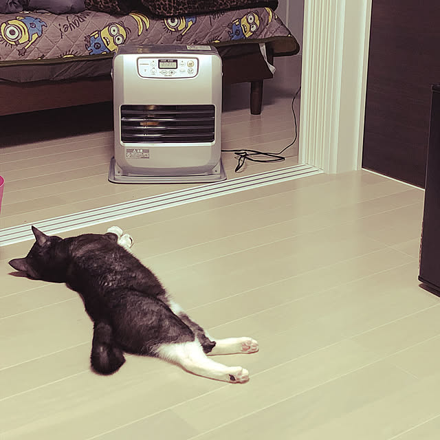 NEREさんの実例写真