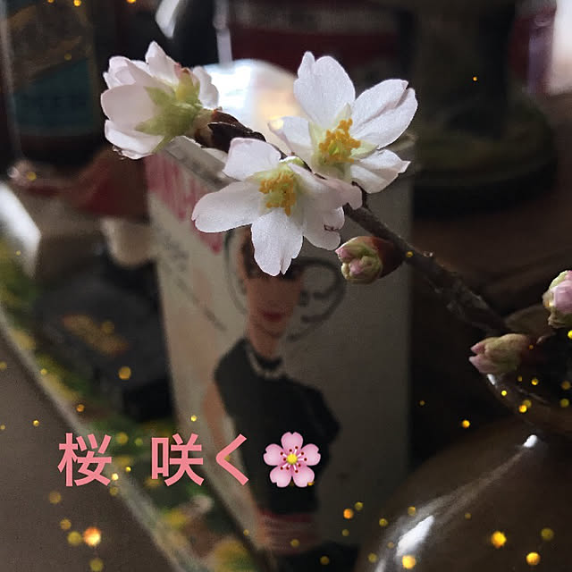 tsuyopipさんの実例写真