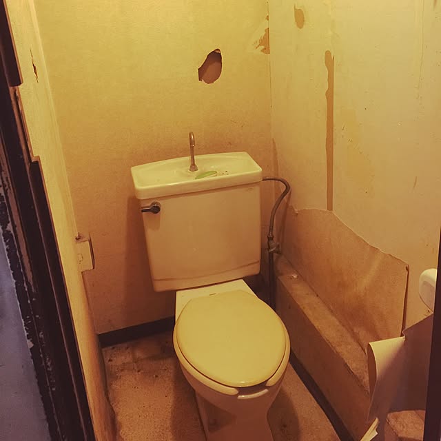 実例写真