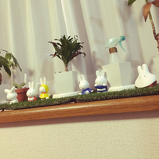 Akiさんの実例写真