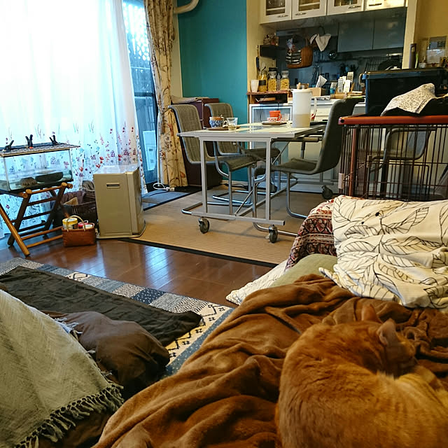okyosan101さんの実例写真