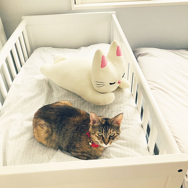 minminさんの実例写真