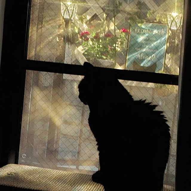 moko.7525himeさんの実例写真