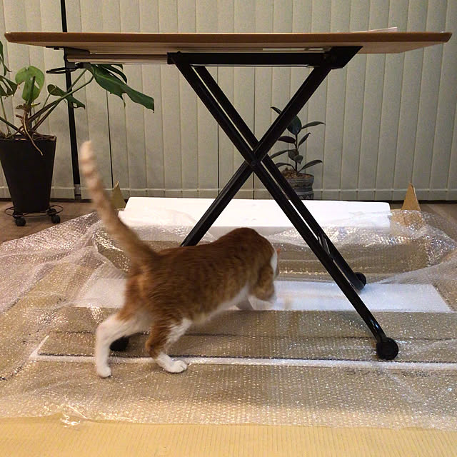 houenさんの実例写真