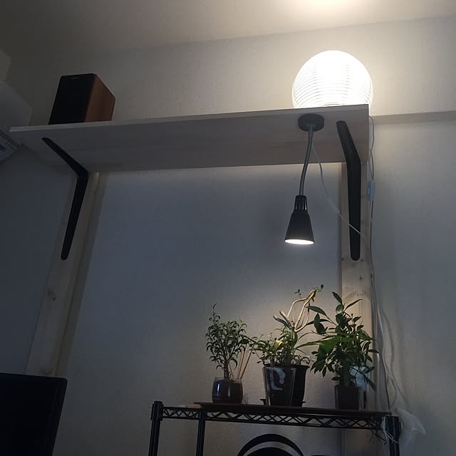 naoteeさんの実例写真