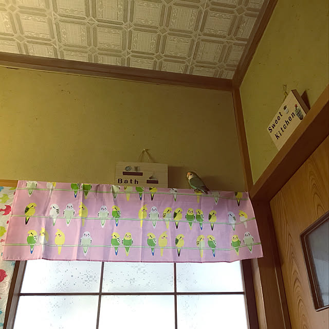 aoinokimiさんの実例写真