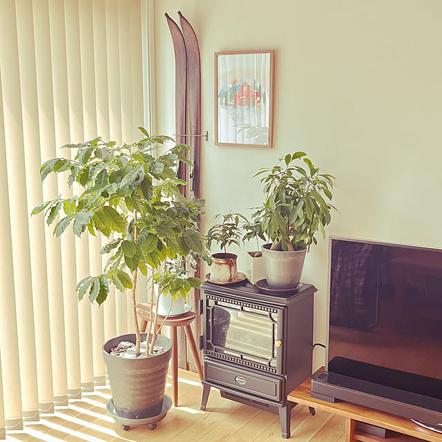 mikigumaさんの部屋