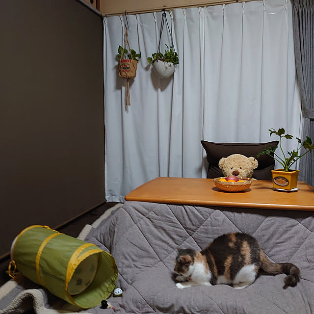 fukuさんの実例写真