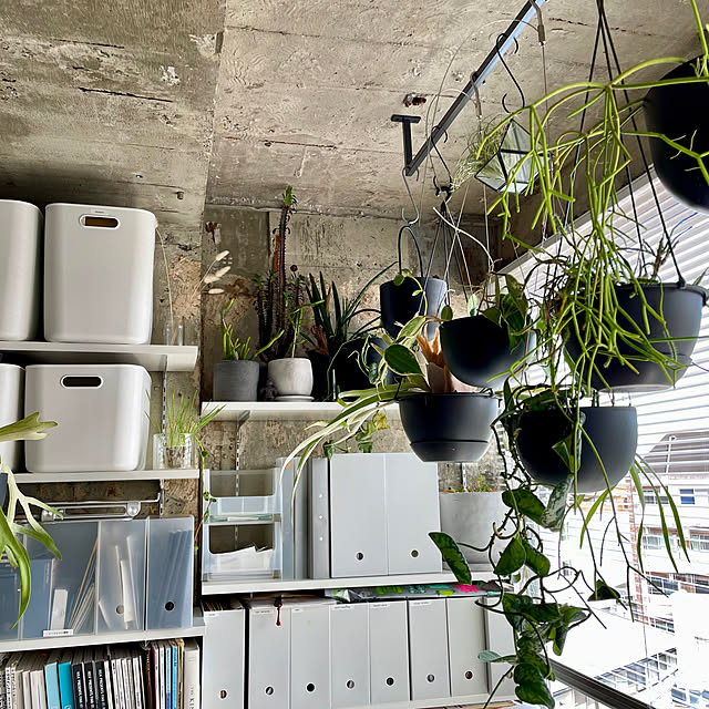 lalaさんの部屋