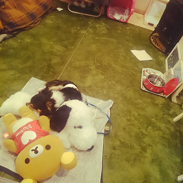 rinmarorinさんの実例写真