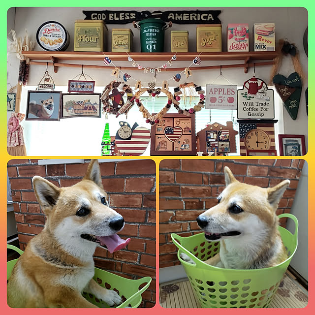 nanaさんの実例写真