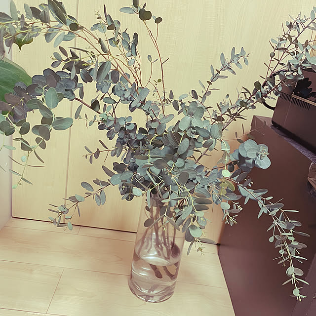 sarukichiさんの実例写真