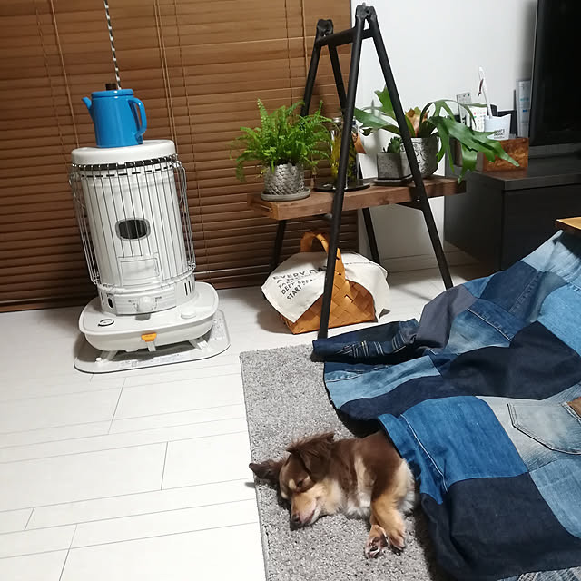 rikakoさんの実例写真
