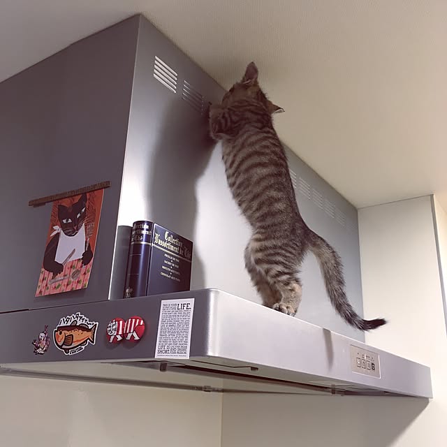 mikomaruさんの実例写真