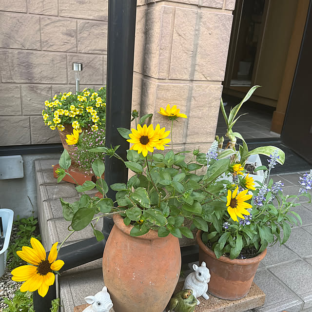 ritsukoさんの部屋