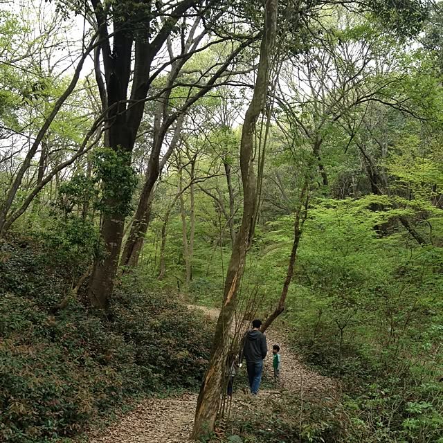 yukapoさんの実例写真