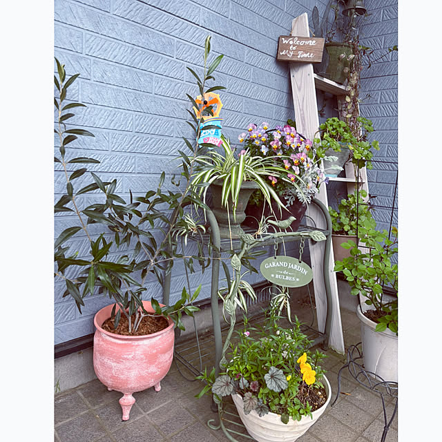 CoCo0617さんの部屋