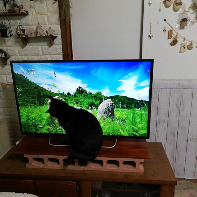Tomopさんの実例写真