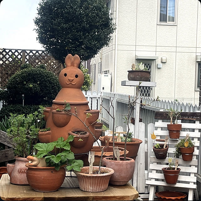 Ohigeさんの実例写真