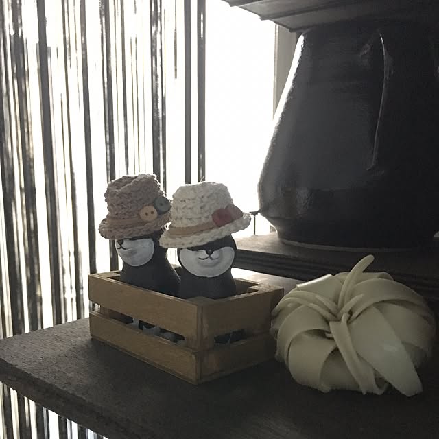 cocotaiさんの実例写真
