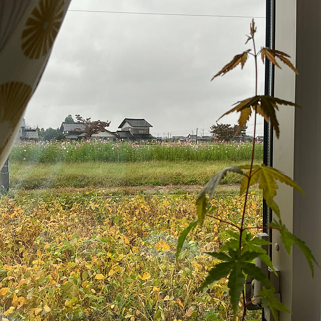 chiiyanさんの部屋