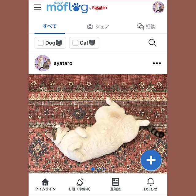 ayataroさんの実例写真