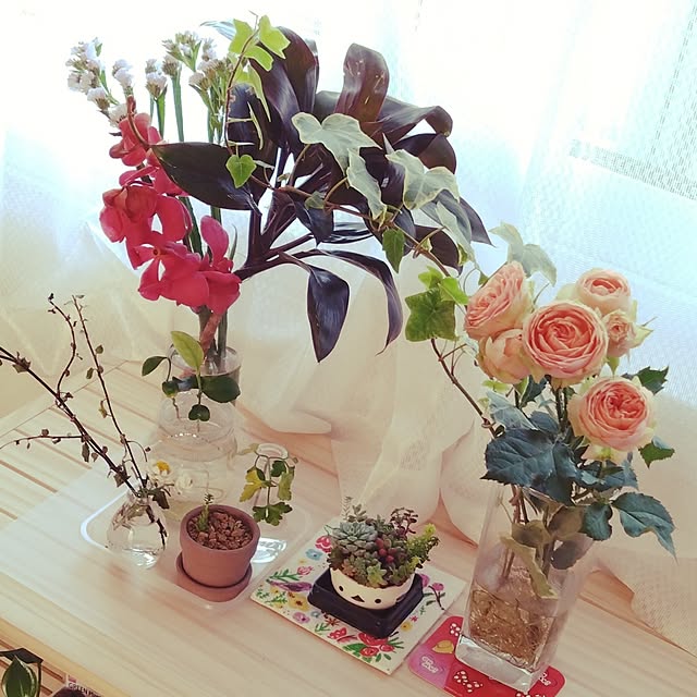 sumomoさんの実例写真