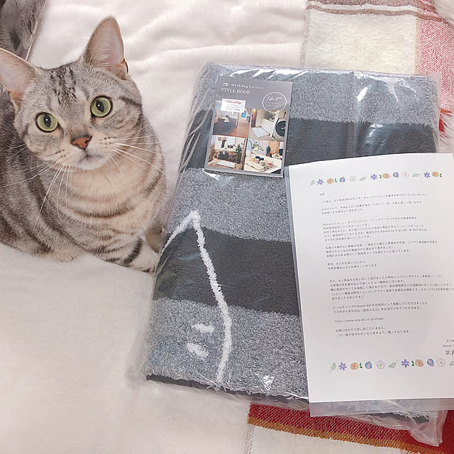 tina_sa_0さんの実例写真