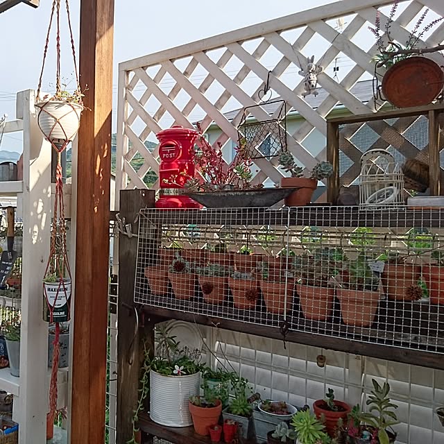 pocoさんの実例写真