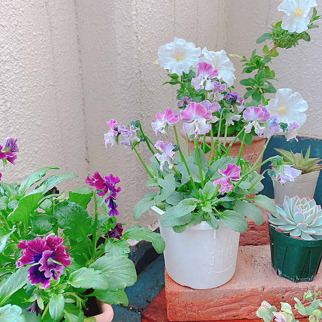 smallroomさんの部屋