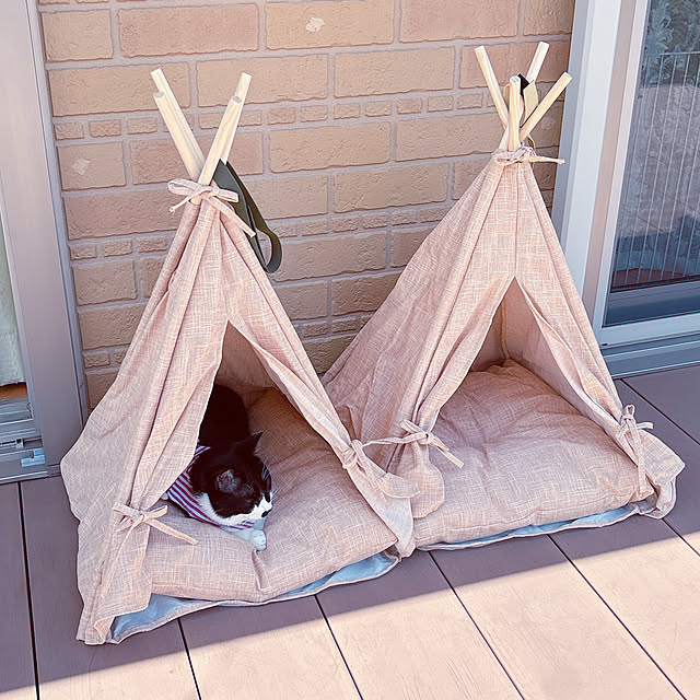 moolさんの部屋