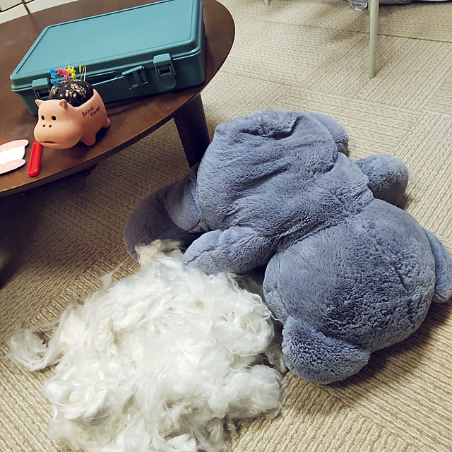 実例写真