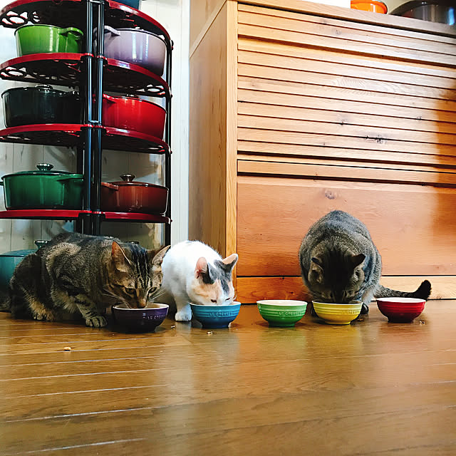 pepeさんの実例写真