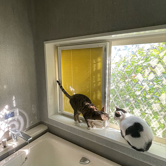 nobikoさんの実例写真