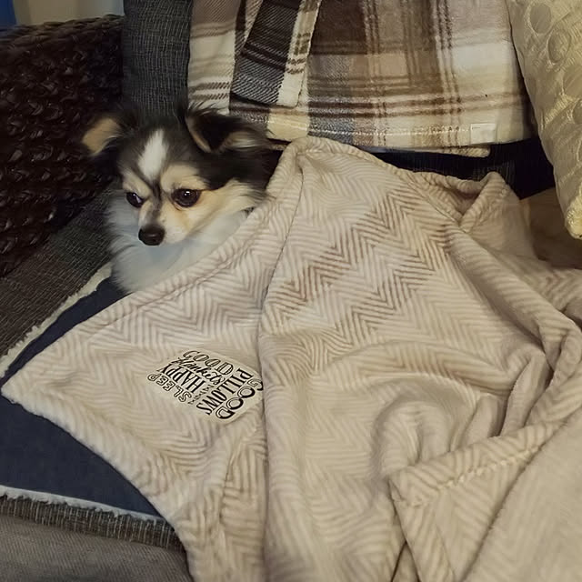 mizuさんの実例写真